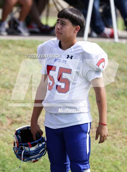 Thumbnail 1 in Antelope @ Glendale Prep Academy photogallery.