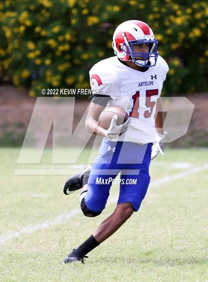 Thumbnail 1 in Antelope @ Glendale Prep Academy photogallery.