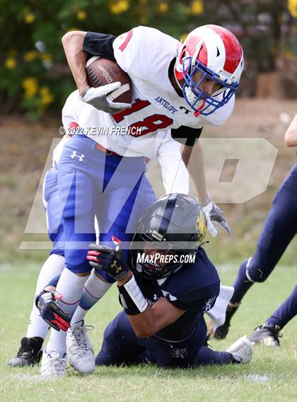 Thumbnail 1 in Antelope @ Glendale Prep Academy photogallery.