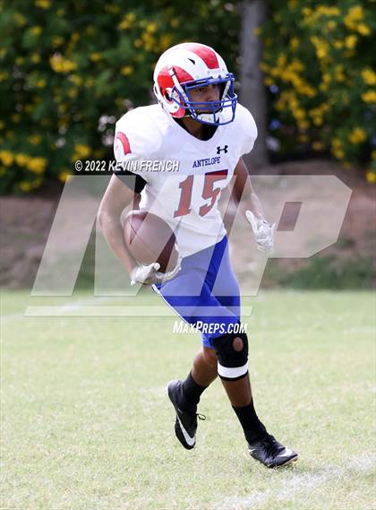 Thumbnail 1 in Antelope @ Glendale Prep Academy photogallery.
