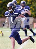 Photo from the gallery "Antelope @ Glendale Prep Academy"