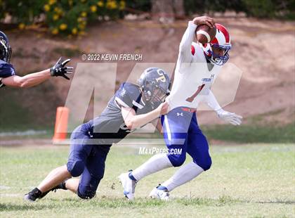 Thumbnail 1 in Antelope @ Glendale Prep Academy photogallery.