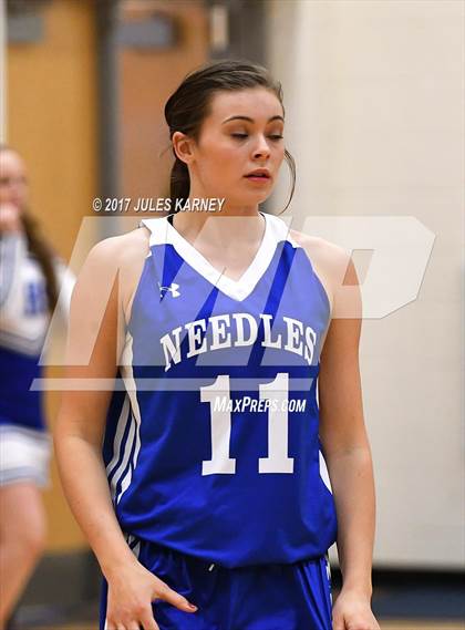 Thumbnail 3 in Needles vs Adelson  photogallery.