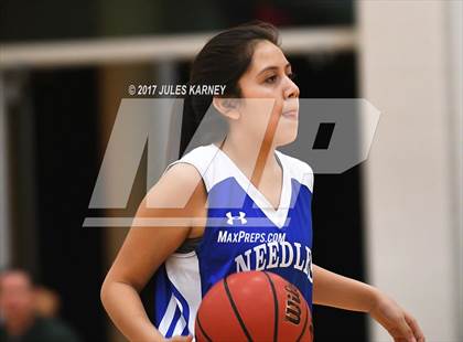 Thumbnail 3 in Needles vs Adelson  photogallery.