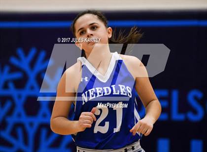 Thumbnail 3 in Needles vs Adelson  photogallery.