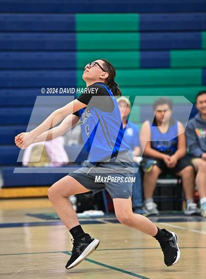Thumbnail 3 in Kennedy vs Alameda photogallery.