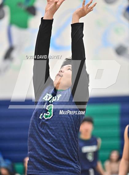 Thumbnail 3 in Kennedy vs Alameda photogallery.