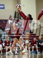 Photo from the gallery "Cedarcrest @ Eastlake"