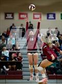 Photo from the gallery "Cedarcrest @ Eastlake"