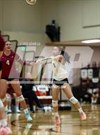 Photo from the gallery "Cedarcrest @ Eastlake"