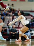 Photo from the gallery "Cedarcrest @ Eastlake"
