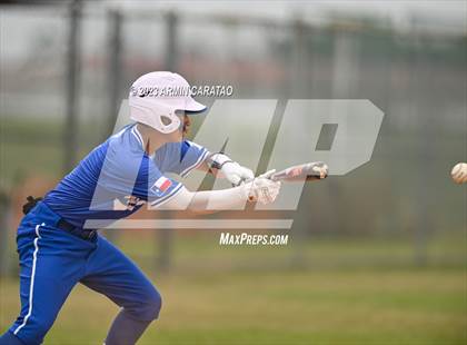 Thumbnail 1 in Aldine @ Dekaney photogallery.