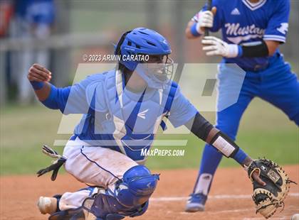 Thumbnail 2 in Aldine @ Dekaney photogallery.