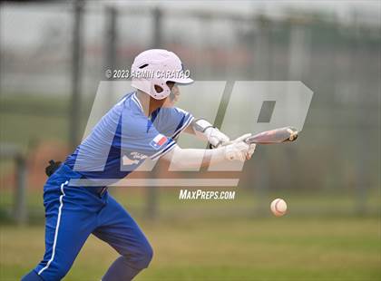 Thumbnail 2 in Aldine @ Dekaney photogallery.