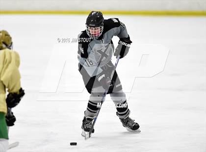 Thumbnail 1 in Notre Dame-West Haven vs. Xavier (Carrano Cup Consolation) photogallery.