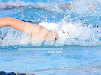 Thumbnail 3 in AIA Division III Swim State Championships photogallery.