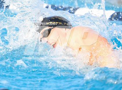 Thumbnail 2 in AIA Division III Swim State Championships photogallery.