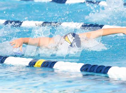 Thumbnail 2 in AIA Division III Swim State Championships photogallery.