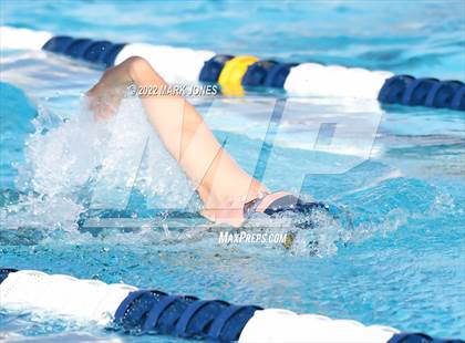 Thumbnail 3 in AIA Division III Swim State Championships photogallery.