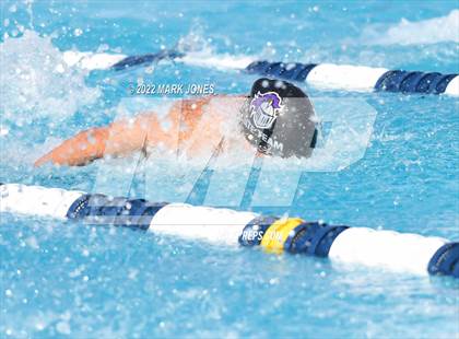 Thumbnail 1 in AIA Division III Swim State Championships photogallery.