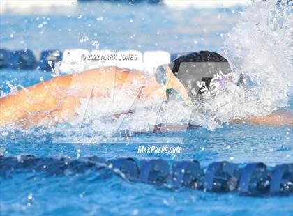 Thumbnail 1 in AIA Division III Swim State Championships photogallery.