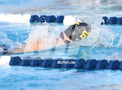 Thumbnail 1 in AIA Division III Swim State Championships photogallery.