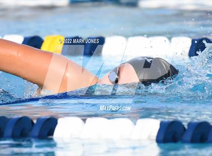 Thumbnail 1 in AIA Division III Swim State Championships photogallery.