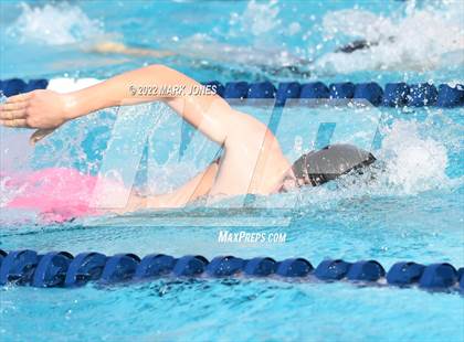 Thumbnail 1 in AIA Division III Swim State Championships photogallery.