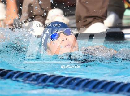 Thumbnail 1 in AIA Division III Swim State Championships photogallery.