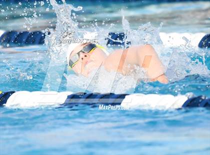 Thumbnail 2 in AIA Division III Swim State Championships photogallery.