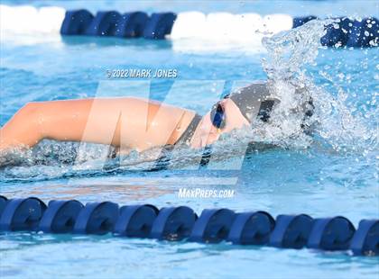 Thumbnail 1 in AIA Division III Swim State Championships photogallery.