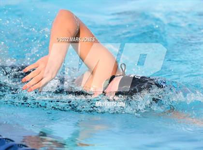 Thumbnail 3 in AIA Division III Swim State Championships photogallery.