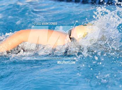 Thumbnail 3 in AIA Division III Swim State Championships photogallery.