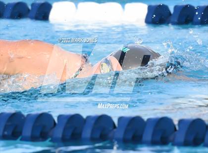 Thumbnail 1 in AIA Division III Swim State Championships photogallery.