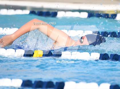 Thumbnail 1 in AIA Division III Swim State Championships photogallery.