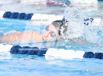 Thumbnail 1 in AIA Division III Swim State Championships photogallery.