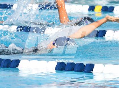 Thumbnail 1 in AIA Division III Swim State Championships photogallery.