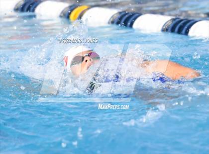 Thumbnail 1 in AIA Division III Swim State Championships photogallery.