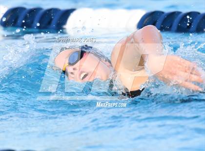 Thumbnail 1 in AIA Division III Swim State Championships photogallery.