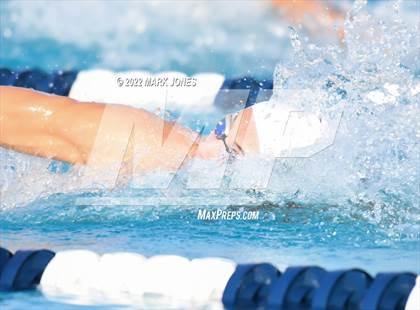 Thumbnail 1 in AIA Division III Swim State Championships photogallery.