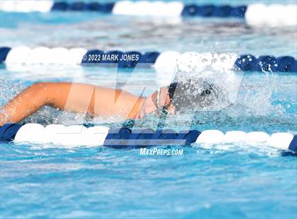 Thumbnail 3 in AIA Division III Swim State Championships photogallery.