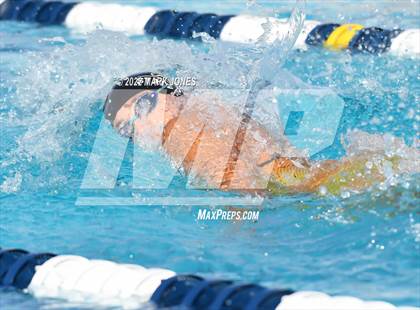 Thumbnail 1 in AIA Division III Swim State Championships photogallery.