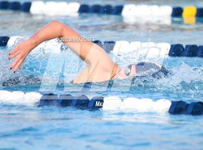 Thumbnail 1 in AIA Division III Swim State Championships photogallery.