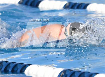 Thumbnail 1 in AIA Division III Swim State Championships photogallery.
