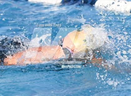Thumbnail 3 in AIA Division III Swim State Championships photogallery.