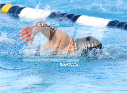 Thumbnail 1 in AIA Division III Swim State Championships photogallery.