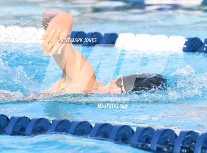 Thumbnail 1 in AIA Division III Swim State Championships photogallery.
