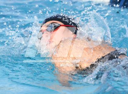 Thumbnail 2 in AIA Division III Swim State Championships photogallery.