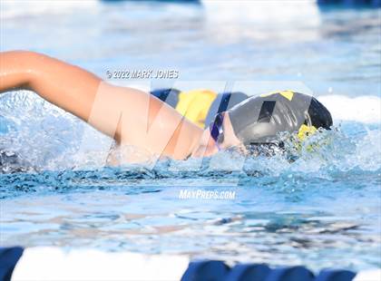 Thumbnail 3 in AIA Division III Swim State Championships photogallery.