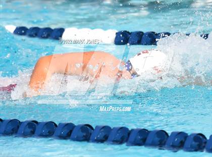 Thumbnail 1 in AIA Division III Swim State Championships photogallery.